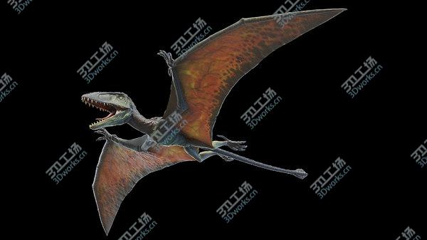 images/goods_img/20210312/Dimorphodon model/3.jpg